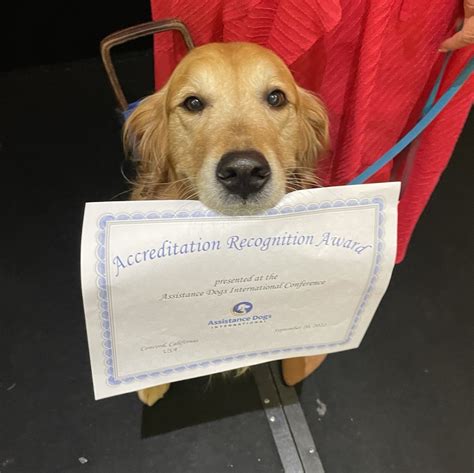 Assistance Dog Certification