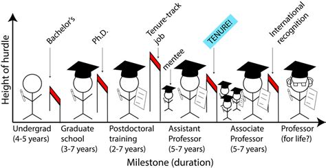 assistant professor or associate professor