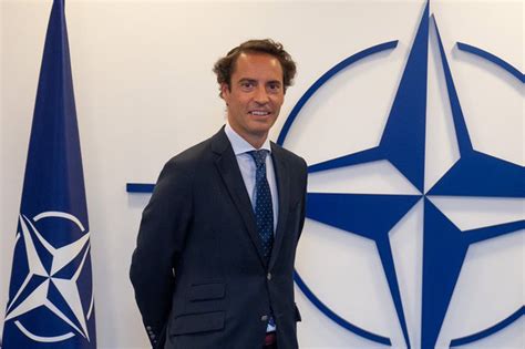 assistant secretary general nato