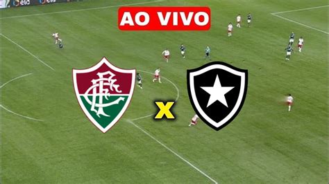 assistir botafogo x fluminense ao vivo