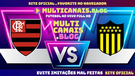 assistir jogo do flamengo ao vivo full hd