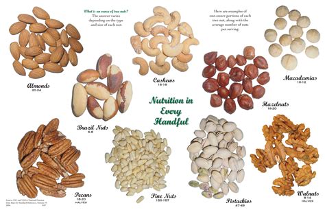 Assorted Nuts Type Of Appetizer