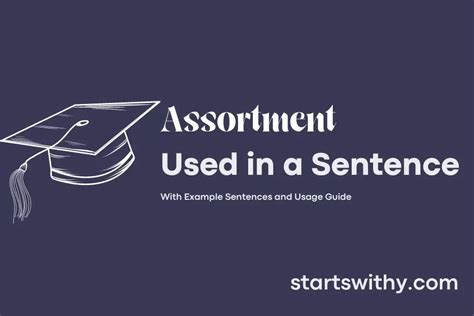 Assortment Usage In Sentence
