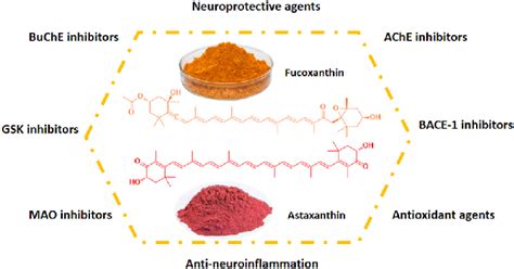 Astaxanthin And Fucoxanthin