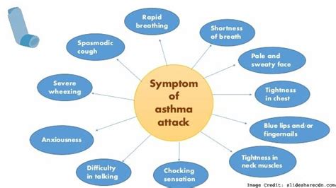 Asthma Attack Quizlet