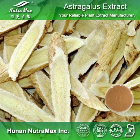 Astragalus Membranaceus Root Extract