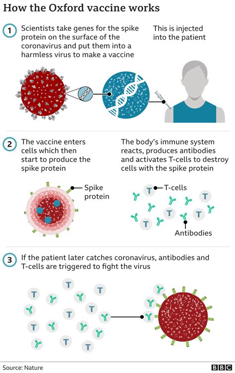 astrazeneca vaccine type