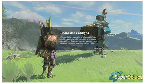 Zelda Breath of the Wild : Positions des Grandes Fées – Next Stage