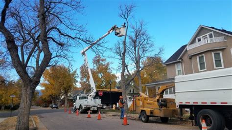 at your service tree service