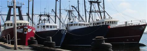 Athearn Marine: Uncover Rare Secrets!