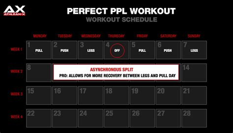Athlean X Push Pull Legs Routine