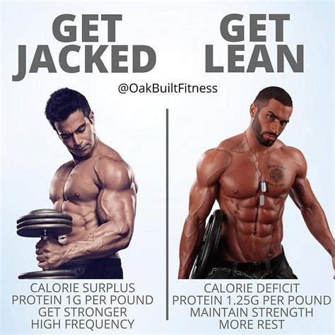 Athletic Vs Lean
