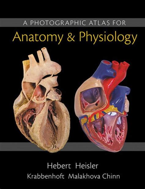 atlas anatomy and physiology