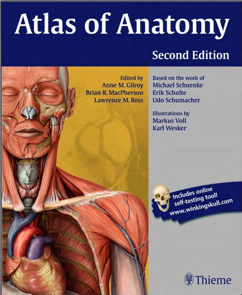 atlas of anatomy second edition