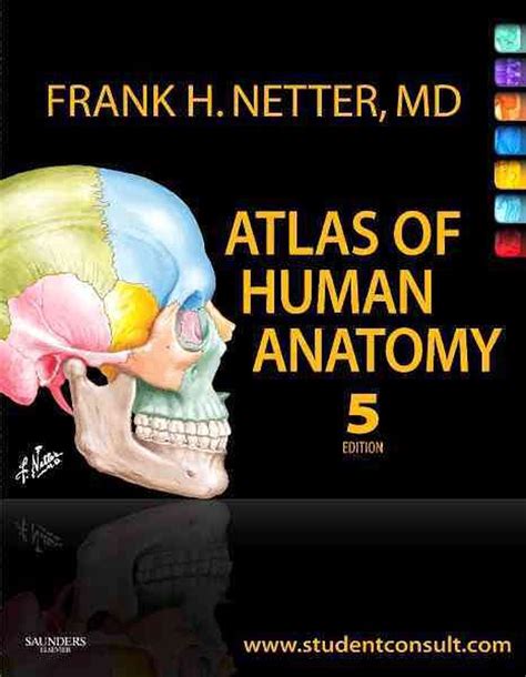 atlas of human anatomy 5th edition