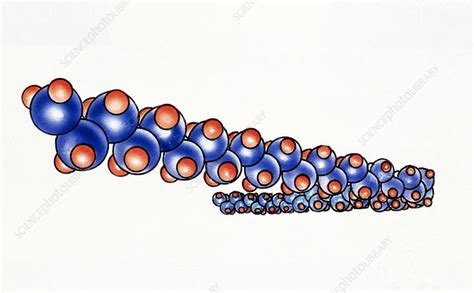 atomic structure of polythene