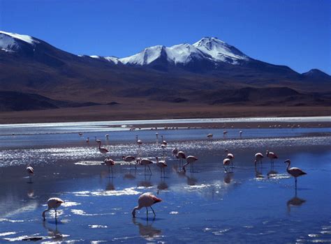 Top 5 atrações turísticas na Bolivia YouTube