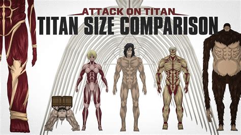 Attack on titan wall size comparison
