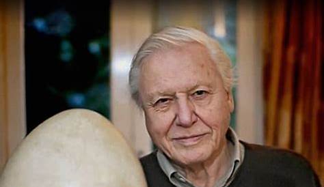 BBC Two - Attenborough and the Giant Egg, Relative mystery