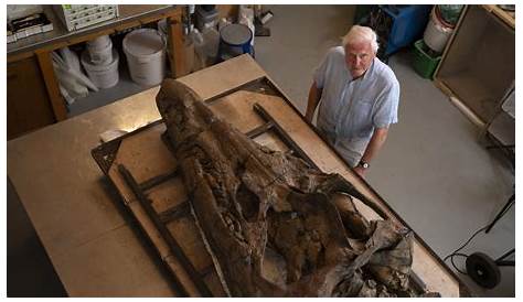 A giant, deadly sea reptile skull is unearthed in England : NPR