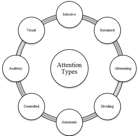 Areas of Attention Is My Child Developmentally Ready for Sustained