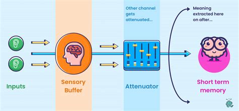 Attenuation Theory Example