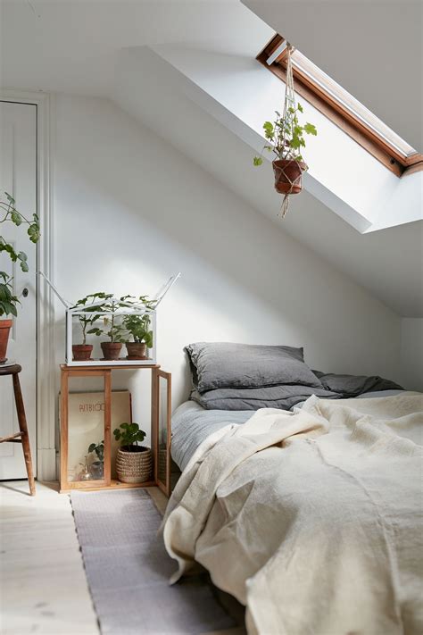 Attic bedroom with plants