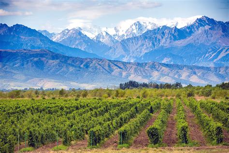 attractions in mendoza argentina