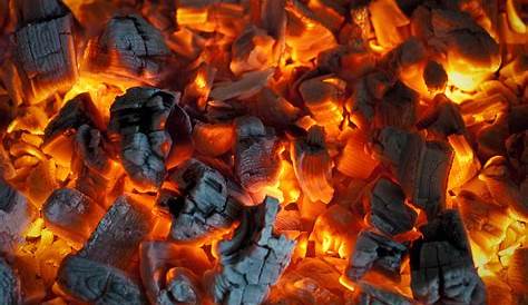 Au Charbon Comment Allumer Un Barbecue De Bois Les