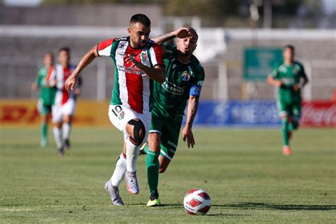 audax italiano vs palestino