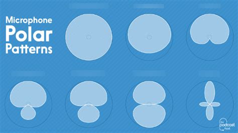 Audio Basics Quizlet