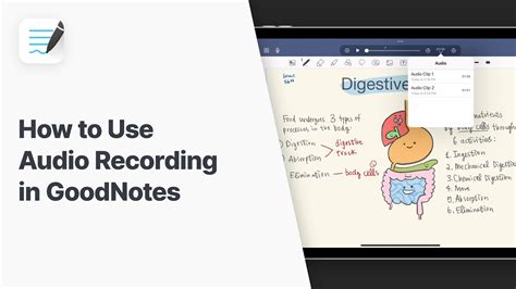Audio Clip Goodnotes