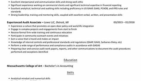 Audit Associate Resume Examples | Professional Resume Samples
