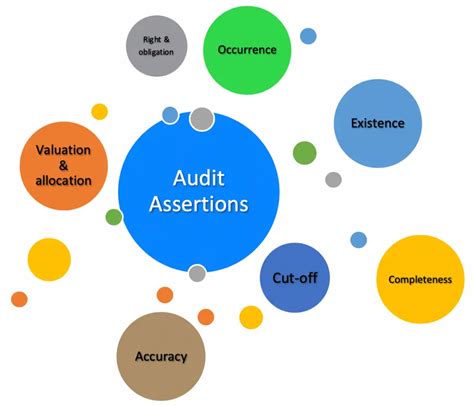 audit assertions with examples