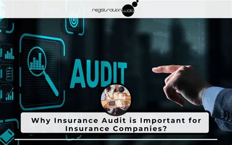 Protect Your Business with Audit Insurance: The Ultimate Shield Against Financial Risks