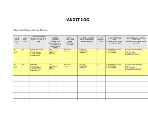 audit log example for user activity