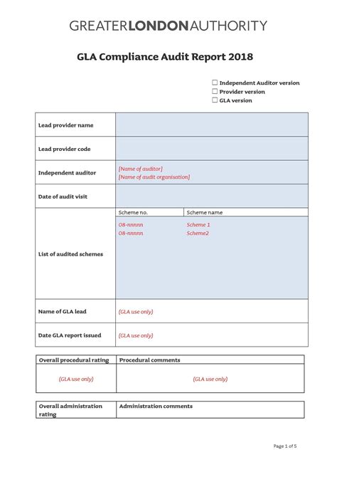 audit query report format