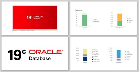 auditing in oracle 19c