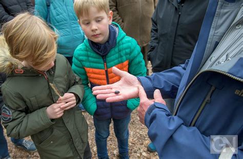 State of the Society President's Perspective News AUGS