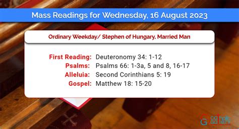 august 13 2023 gospel reading