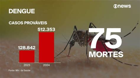 aumento dos casos de dengue 2024