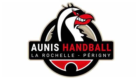 Aunis Handball La Rochelle Perigny France Nantes International