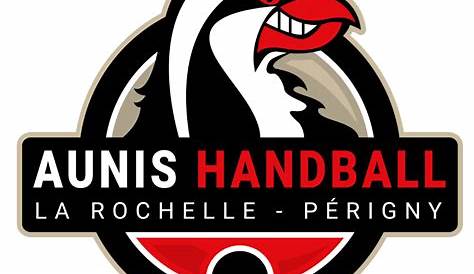 Aunis Handball La Rochelle Périgny HelloAsso