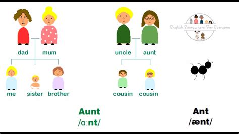 aunt vs great aunt
