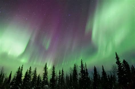 aurora borealis forecast manitoba