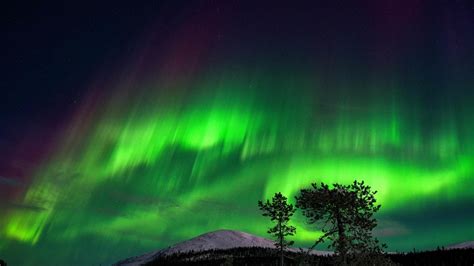 aurora borealis in january 2023