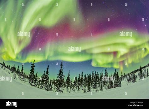 aurora borealis northern studies