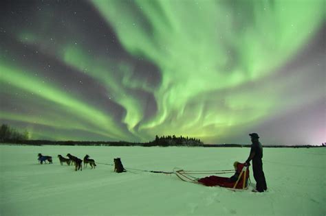 aurora borealis tours fairbanks alaska