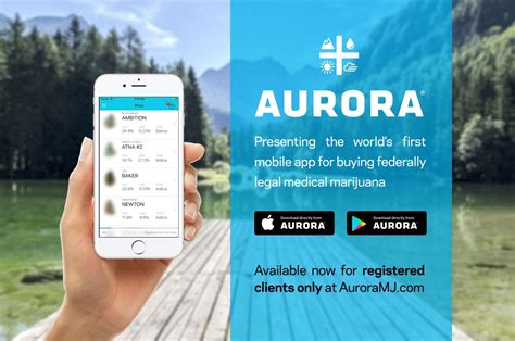 aurora cannabis phone number