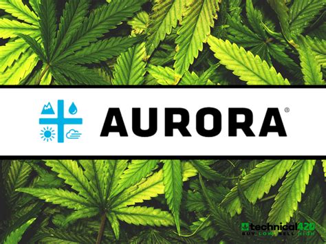 aurora cannabis stock tsx